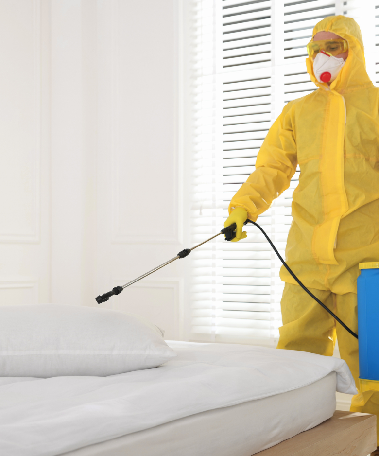 Professional Pest Control Team in Blackwood